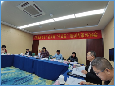 案例展示：百色康养产业发展规划